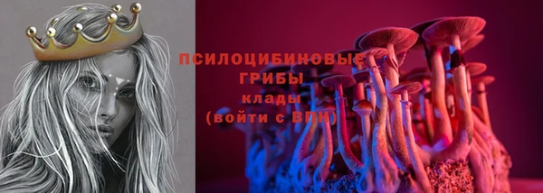 гашик Каменногорск