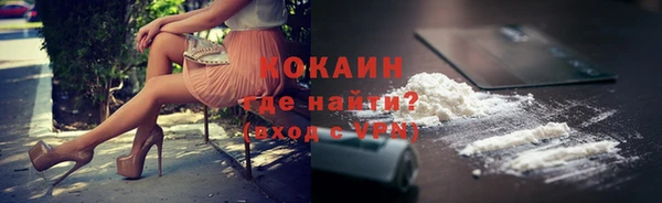 гашик Каменногорск