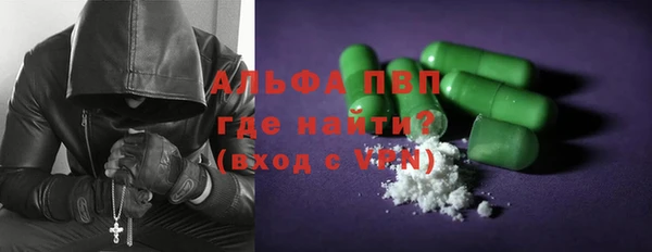 гашик Каменногорск