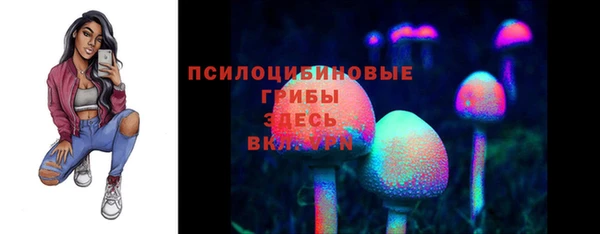 гашик Каменногорск