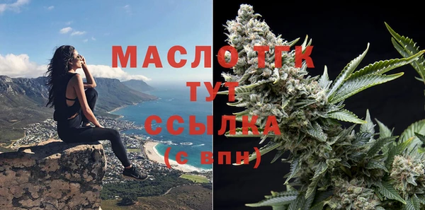гашик Каменногорск