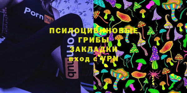 гашик Каменногорск