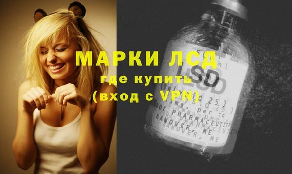 mdpv Каменка