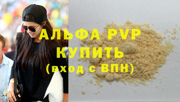 гашик Каменногорск