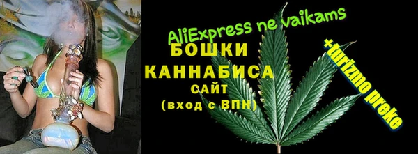 mdpv Каменка